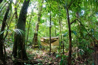Ne surtout pas dormir sur le sol : le campement de Loïc Cappellin au cœur de la forêt tropicale.